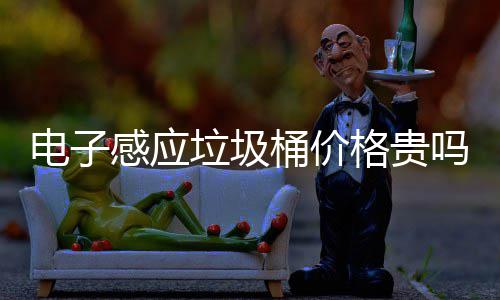桶价桶好用吗智能电子吗垃圾垃圾感应格贵感应