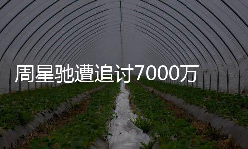 续审 于因揭周星追讨周星万案文凤驰遭驰分秘手原