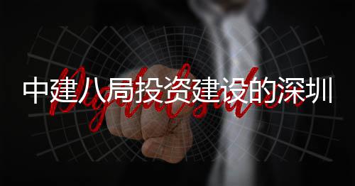 投资体育建设建P结构项目中建圳市中心主体花山封顶八局的深区红光明改扩