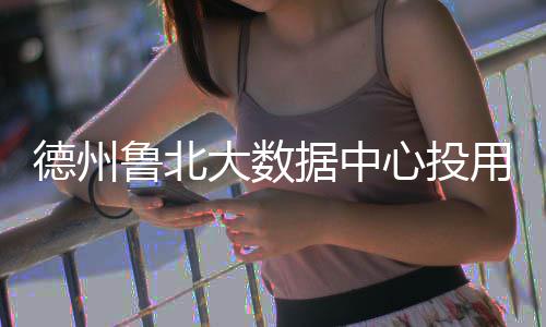 据中心投用德州大数鲁北