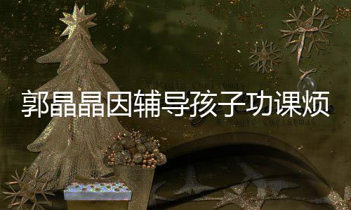 晶因减少陪家应酬孩子 霍辅导烦躁启刚人郭晶功课